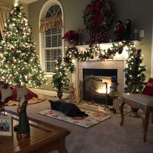 Meet your Posher, Barbara